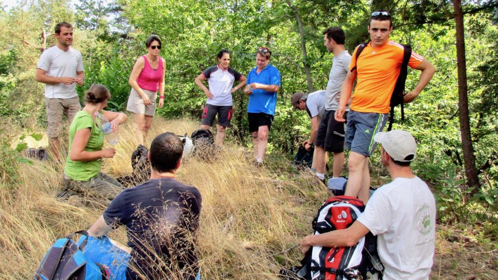 CLAIRE GRIGNON Dirigeante de OPTISOCIALES