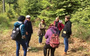 Une journée de business coaching en équipe en plein air pour travailler la cohésion et l'esprit d'équipe avec JADE AIR, notre formule innovante de coaching d'équipe outdoor.