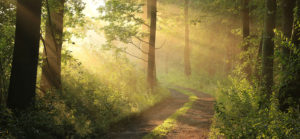 Henri-Pierre Michaud et Christophe Hoffstetter, business coachs avec D'un Pas Décidez, sont les pionniers de l'Outdoor Business Coaching, une méthode originale et innovante qui allie efficacement le business coaching et la marche à pied dans la nature