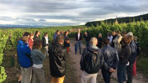 Les Apéros du Management Alsace découvrent l'Outdoor Business Coaching avec D'un Pas Décidez