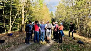 Activité team building avec D'un pas Décidez, une méthode innovante de coaching d'équipe pour accompagner des comités de direction ou équipes managériales