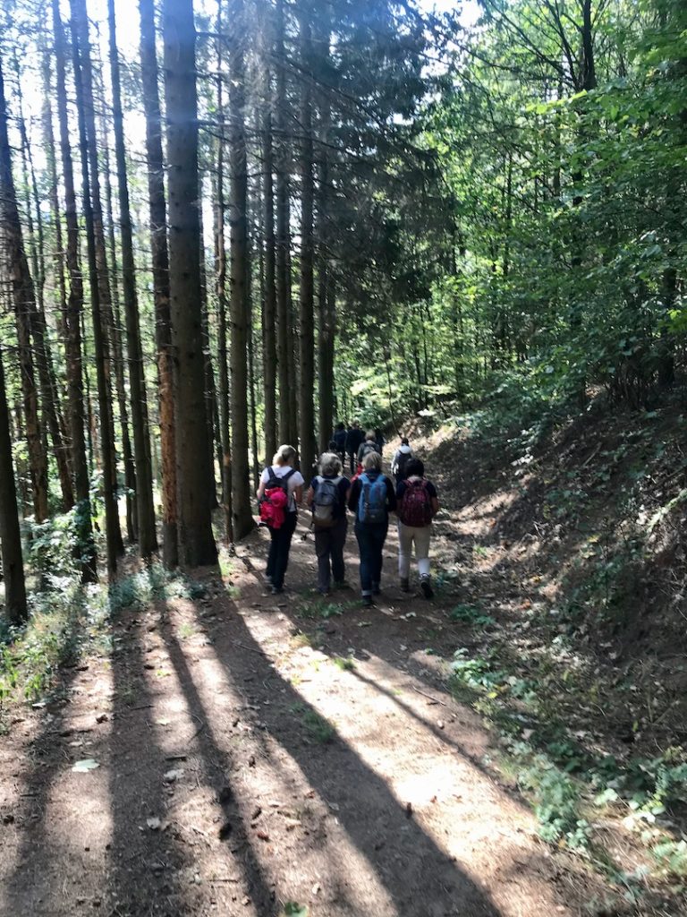 Les Responsables Ressources Humaines RH de l'entreprise HAGER en Alsace bénéficient d'un accompagnement outdoor business coaching avec D'un pas Décidez