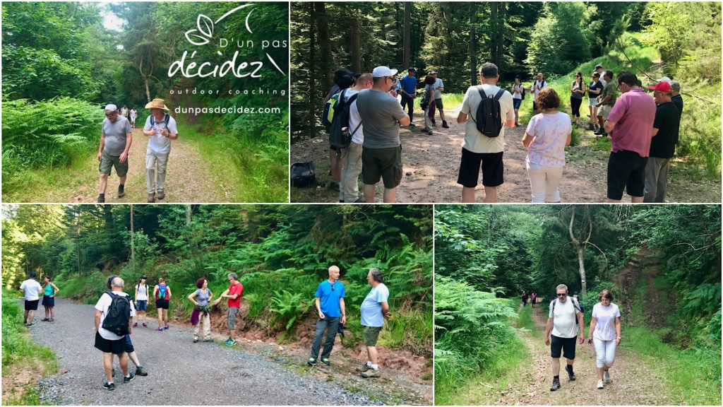 Outdoor Business Coaching avec l'association Avenir PME à Saint-Dié.