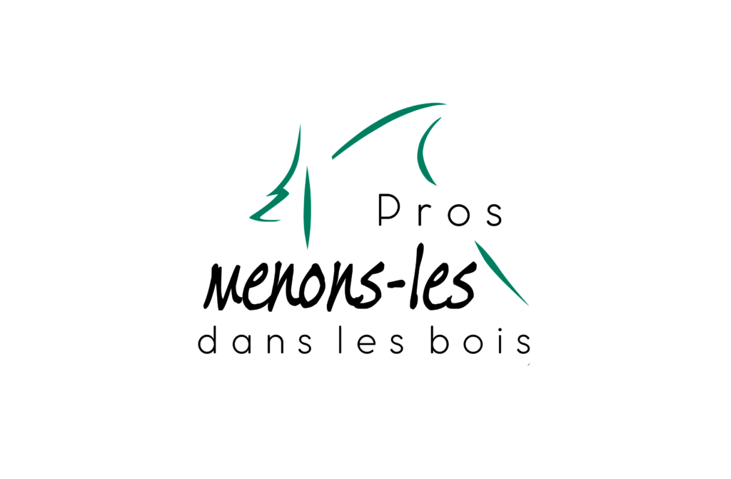 Professionnels de l'accompagnement, et si vous emmeniez vos clients travailler en marchant dans les bois ? Elargissez votre offre de service avec l'une de nos trois journées d'accompagnement Outdoor.