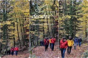 Le comité de site de PDV Papeterie des Vosges bénéficie d'un accompagnement outdoor business coaching avec D'un pas Décidez