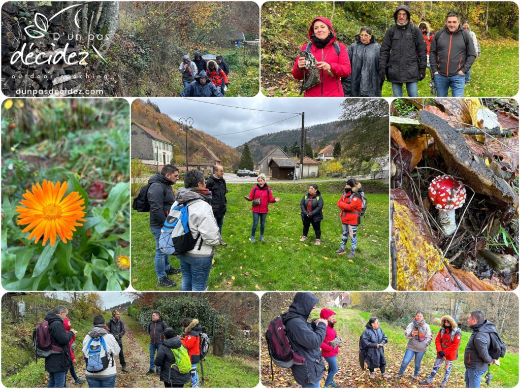 Le CODIR de Pôle Habitat Alsace Colmar bénéficie d'un accompagnement outdoor business coaching avec D'un pas Décidez
