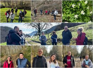 Le CODIR de Pôle Habitat Alsace Colmar bénéficie d'un accompagnement outdoor business coaching avec D'un pas Décidez