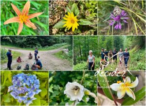 Le CODIR de Pôle Habitat Alsace Colmar bénéficie d'un accompagnement outdoor business coaching avec D'un pas Décidez