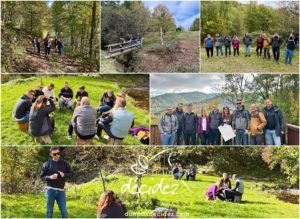 Les Cadres de Pôle Habitat Alsace Colmar bénéficie d'un accompagnement outdoor business coaching avec D'un pas Décidez
