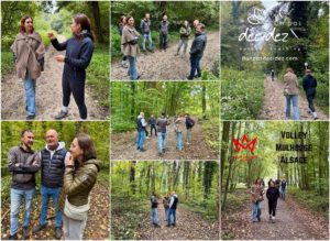 Les membres PREMIUM du Club Affaires du Volley Mulhouse Alsace bénéficient d'un accompagnement outdoor business coaching avec D'un pas Décidez