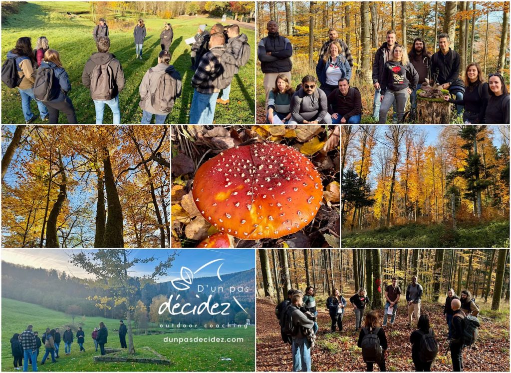 Tous les nouveaux collaborateurs OCTAPHARMA ont eu l'opportunité de se rapprocher grâce à l'accompagnement outdoor business coaching avec D'un pas Décidez