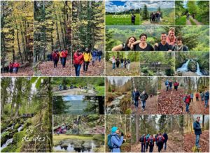 Le comité de management de PDV Papeterie des Vosges bénéficie d'un accompagnement outdoor business coaching avec D'un pas Décidez