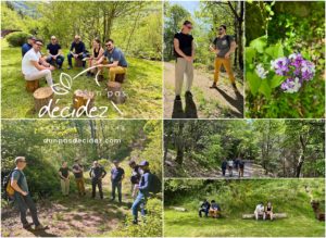 L'outdoor business coaching avec D'un pas Décidez permet d'accompagner efficacement les entreprises en Alsace comme la startup Chargemap !