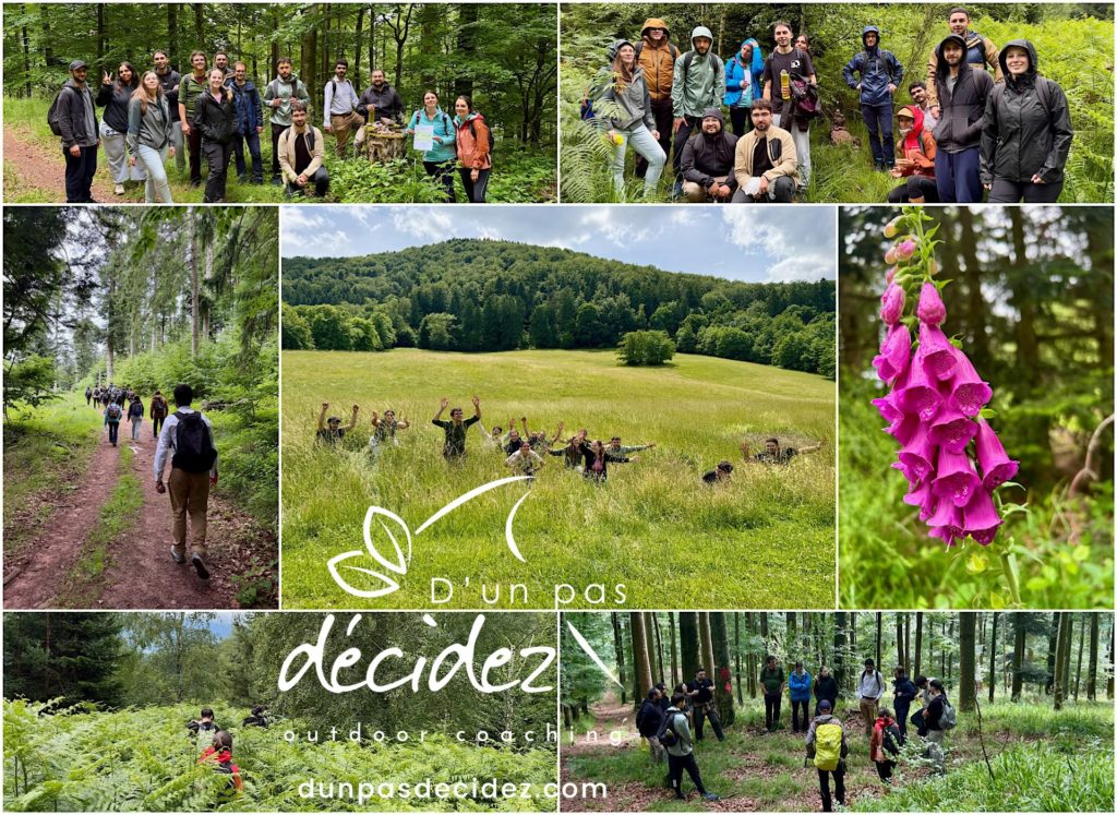 Tous les nouveaux collaborateurs OCTAPHARMA ont eu l'opportunité de se rapprocher grâce à l'accompagnement outdoor business coaching avec D'un pas Décidez